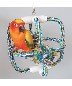 Parrot Orbit - Cotton Climbing Swing